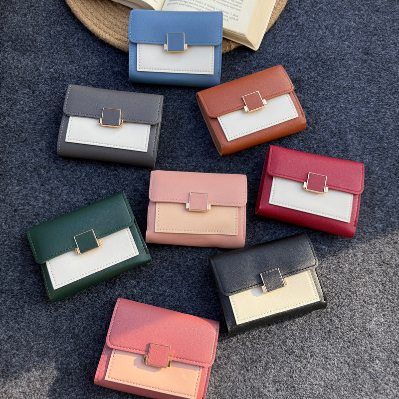 Mini Sleek Pocket Wallet