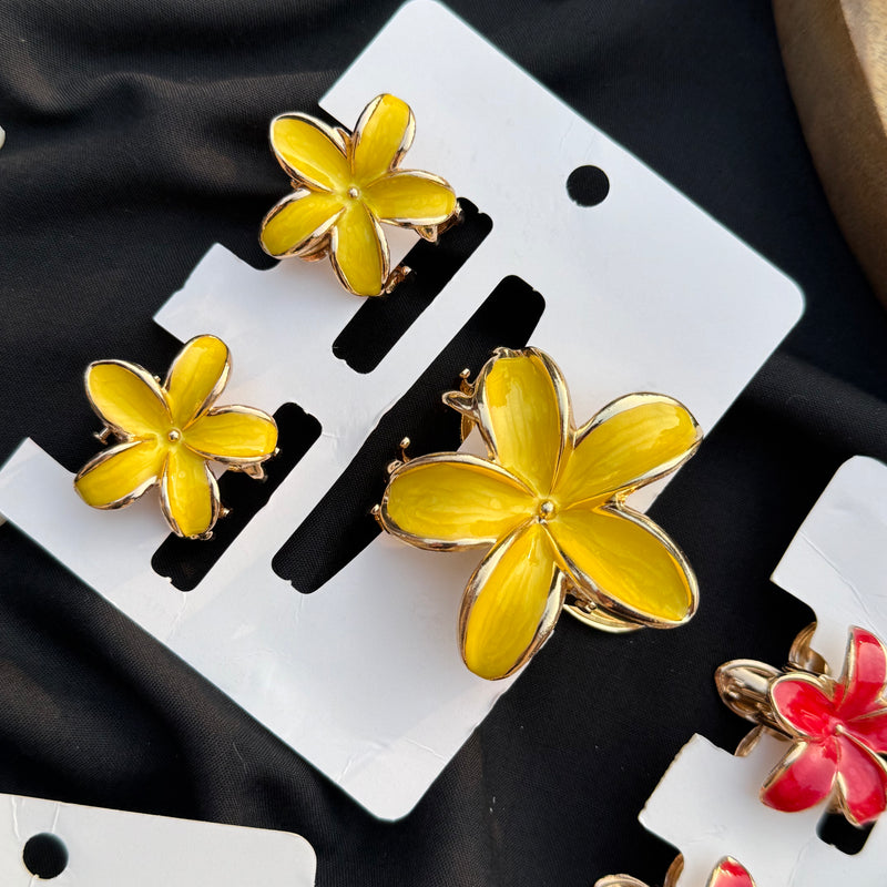 Metallic claw clip set