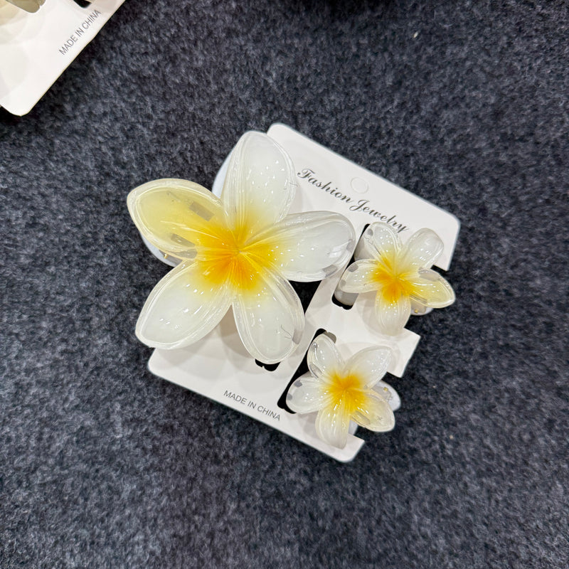 Flower Claw Clip Set