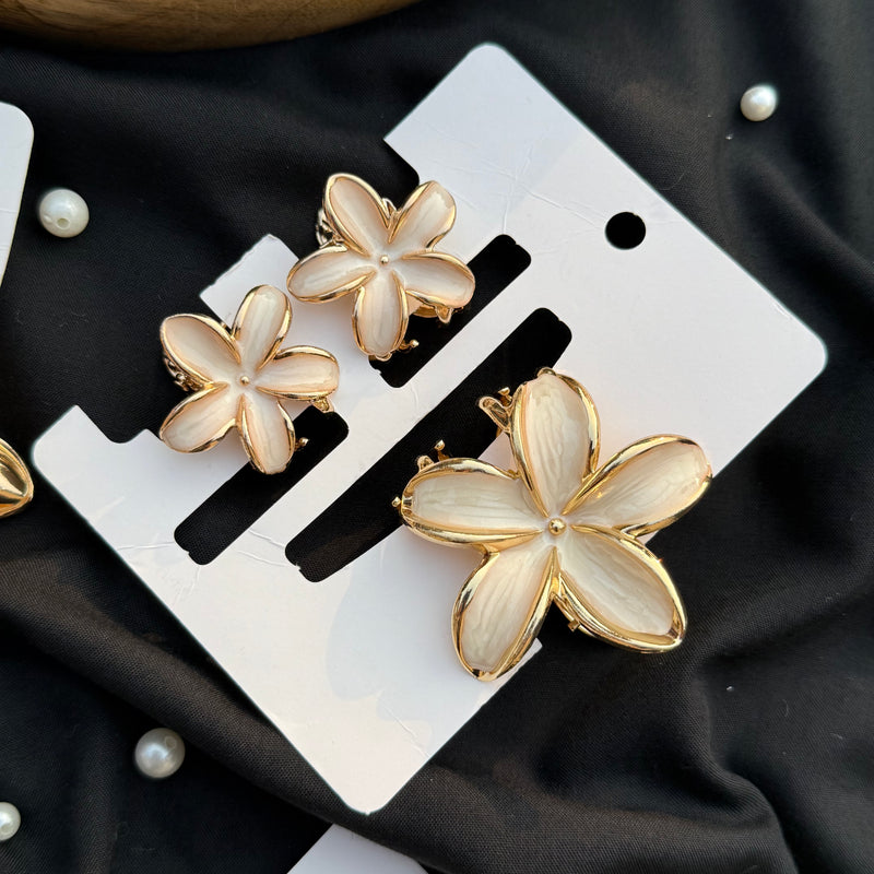 Metallic claw clip set