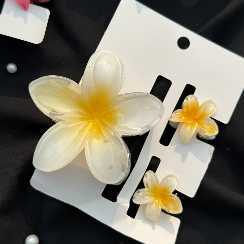 Flower claw Clip Set