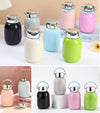 Colour Pop Mini Flask -260 mL