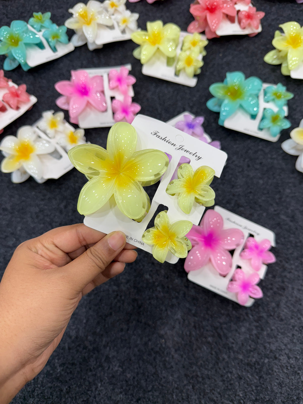Flower Claw Clip Set