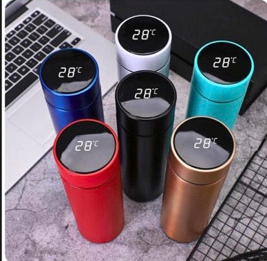 Temperature Insulated Stainless steel bottle