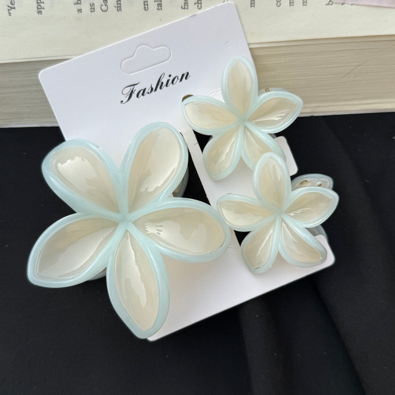 Flower Claw Clip Set