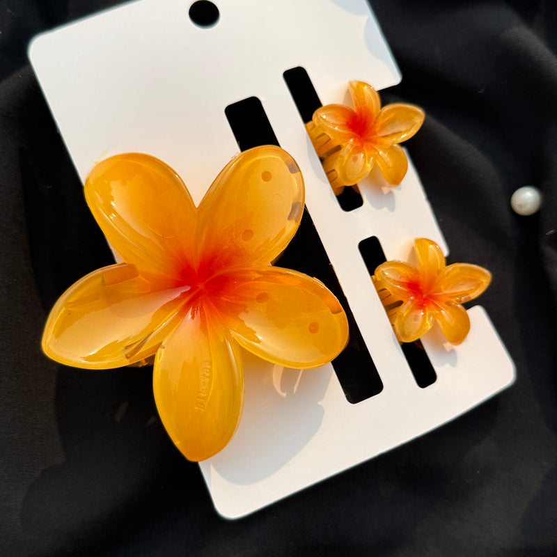 Flower claw Clip Set