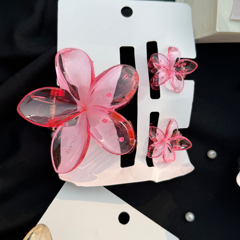 Flower Claw Clip Set