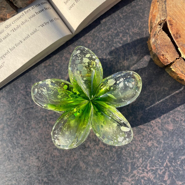 Pinterest Inspired Crystal Claw Clip