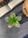 Pinterest Inspired Crystal Claw Clip